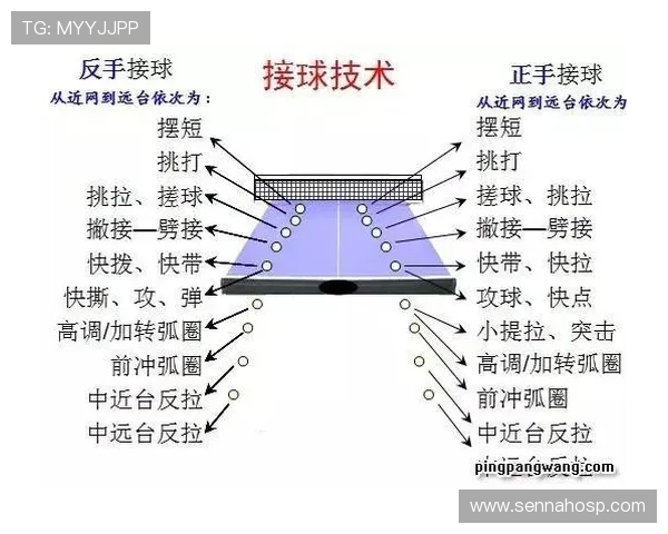 成都乒乓球队的节奏揭秘与深度分析：乒乓球运动的魅力与技艺探讨